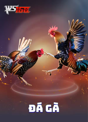 Đồ Sơn